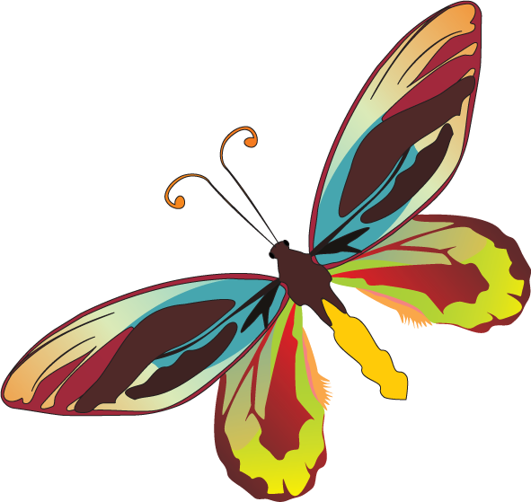 Фото, Автор Arana На Яндекс - Illustration (591x559)