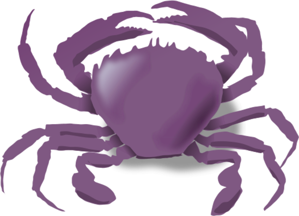 The Crab Vector Clip Art - Animals Live In The Water (600x435)
