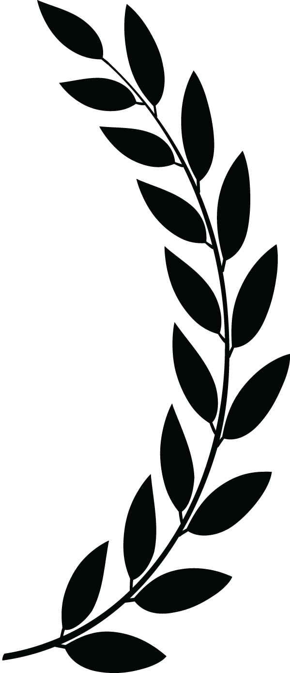 Laurel Clipart Twig - Sarasota Film Festival Logo (599x1388)