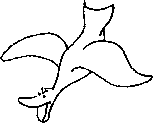 Falling From The Sky - Line Art (623x515)