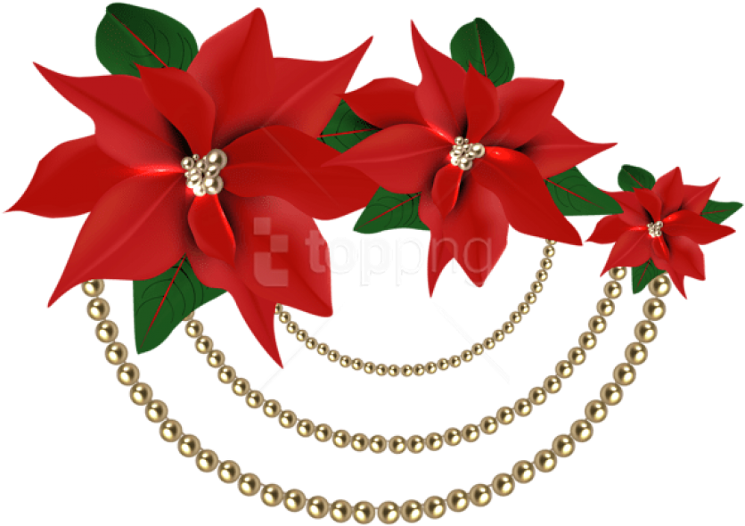 Free Png Decorative Christmas Poinsettias With Pearls - Christmas Flower Png (850x597)