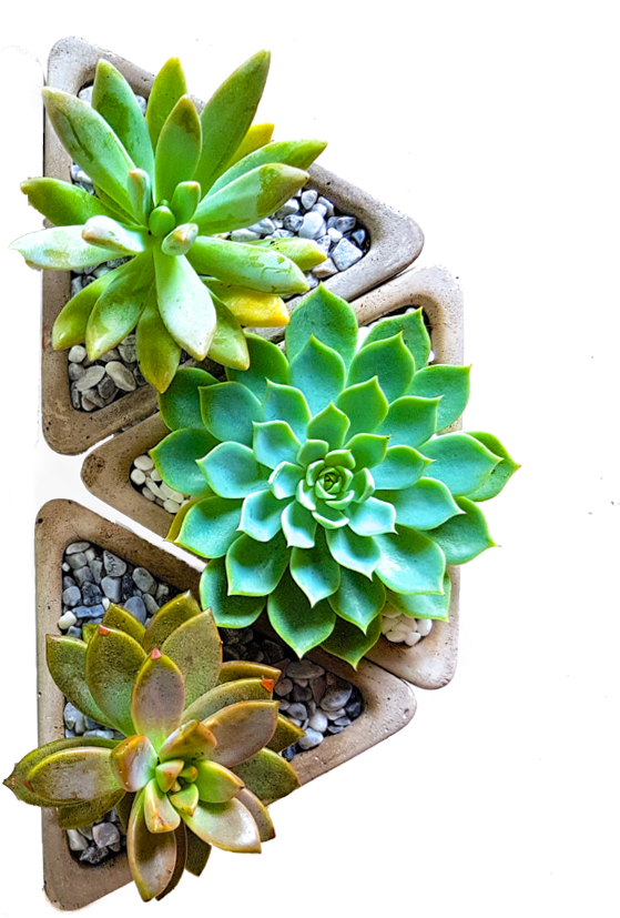 Share The Joy Of Planting - Flowerpot (632x850)