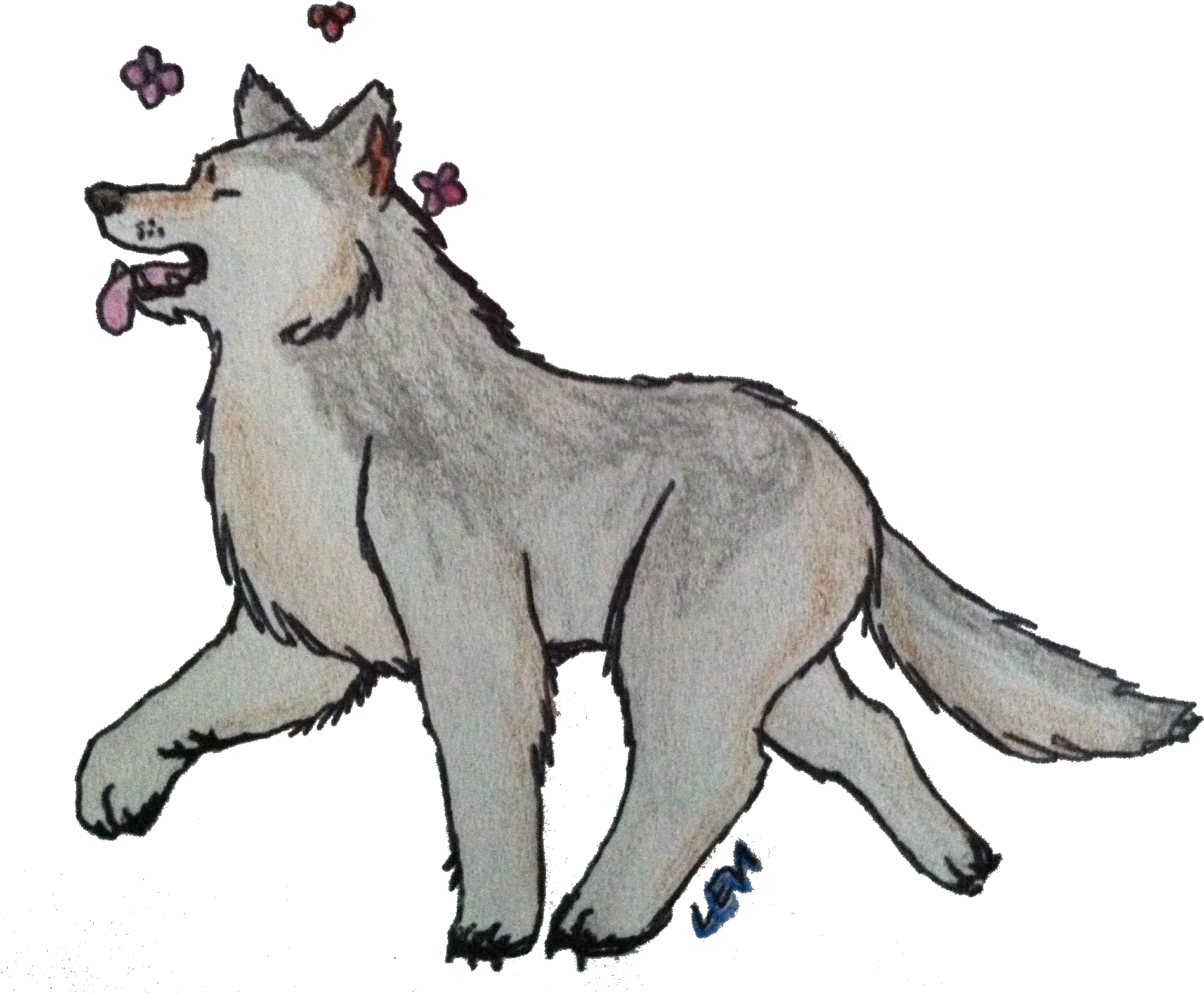 Coat Pattern And Ears Of A Native American Indian Dog, - Dog Yawns (1914x1603)