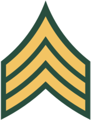 Although Not The Lowest Level Of Rank Where Command - Army Sergeant Insignia (384x480)