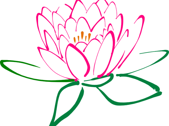 Lotus Blossom Cliparts - Purple Lotus Flower Png (640x480)