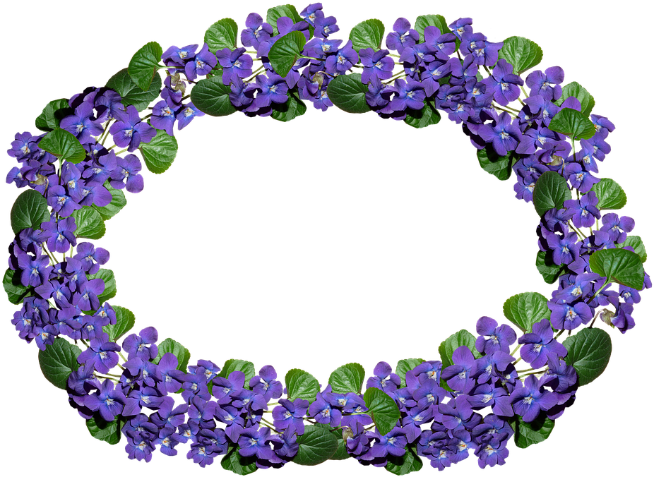 Flowers Violets Arrangement Frame Border Perfume - Delphinium (948x720)