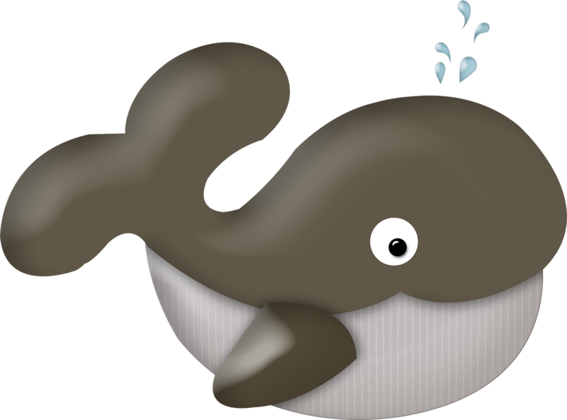 ○•‿✿⁀ocean Safari‿✿⁀•○ - Clip Art (800x593)