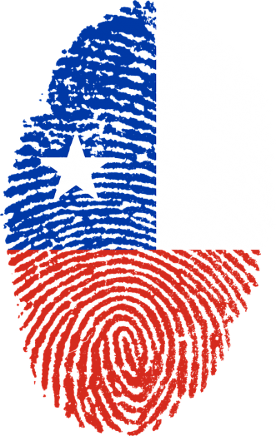 Chile Flag Picture - Chile Png (400x632)