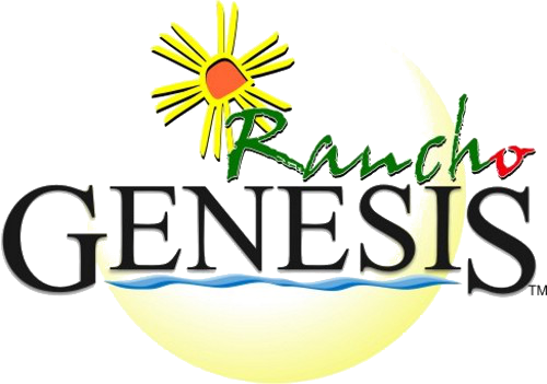 Rancho Logo Globe Color 500px Rancho Genesis Church - Graphic Design (500x351)