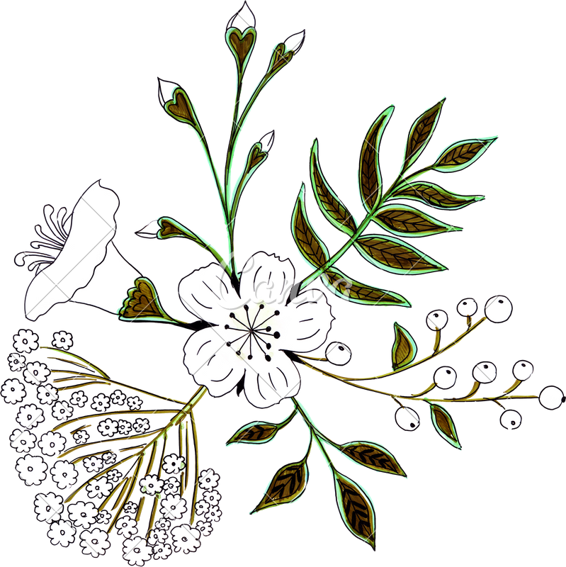 799 X 800 1 - 799 X 800 1 (799x800)