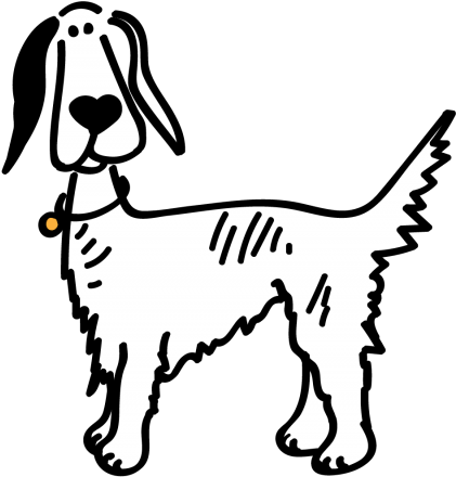 Setter, Brittany And Pointer Rescue Asturias - Setter, Brittany And Pointer Rescue Asturias (430x447)