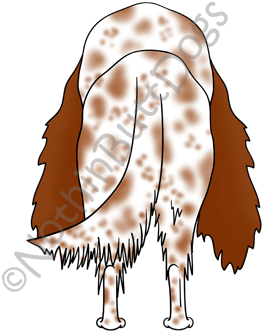 Big Nose English Setter Dark Colored T-shirts - Illustration (300x400)