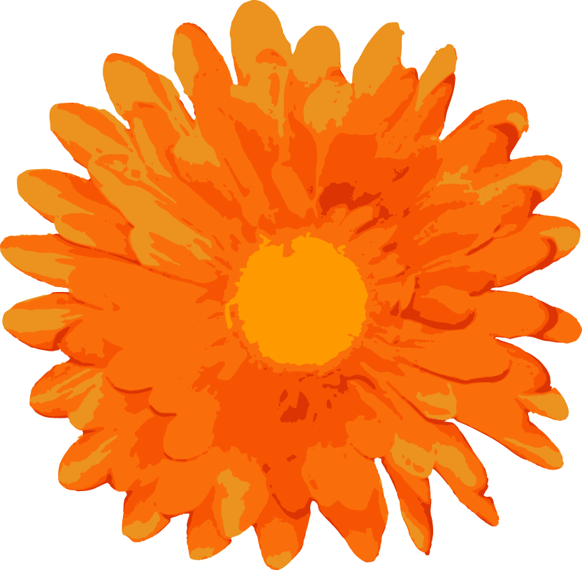 Random Free Vectors Part - Orange Flower Vector Png (833x816)