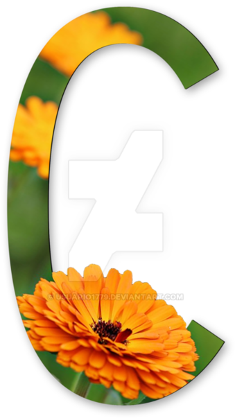 894 X 894 3 - Alphabet Flowers Png (894x894)