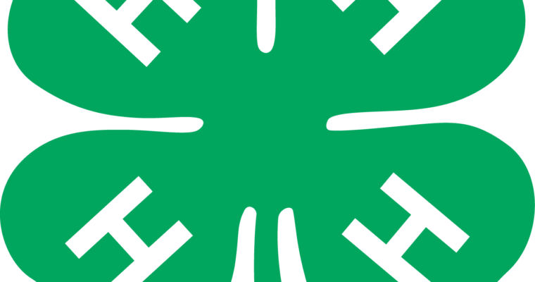 2016 Florida 4-h State Horse Show Results - 4 H Clover (760x400)