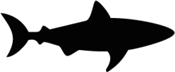 Hammerhead Shark Clipart Shark Shadow - Great White Shark Silhouette (581x239)