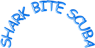 Shark Bite Scuba's Mission - Shark Bite Scuba's Mission (431x305)