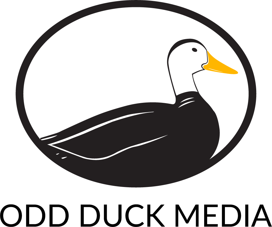 Seo Companies San Antonio - Duck (930x777)