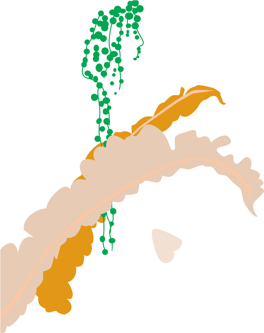 Bloomscape Emina Fern - Illustration (961x1306)