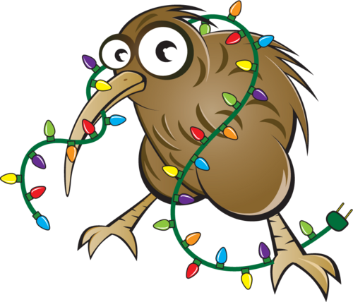 Kiwi Lights - Christmas Kiwi Bird Png (500x428)