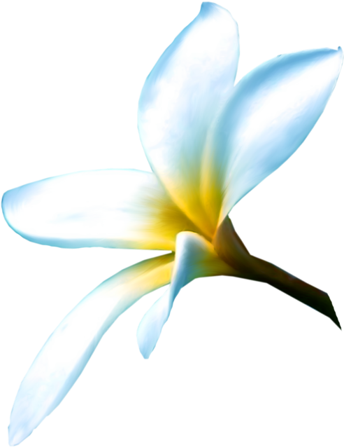Cкрап Набор "краски Моря" - Frangipani (800x679)