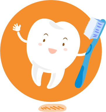 Además, Los Dientes De Leche Tienen Menor Grosor De - Además, Los Dientes De Leche Tienen Menor Grosor De (363x383)