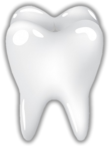 Diente - Imagenes De Dientes En Png (368x482)