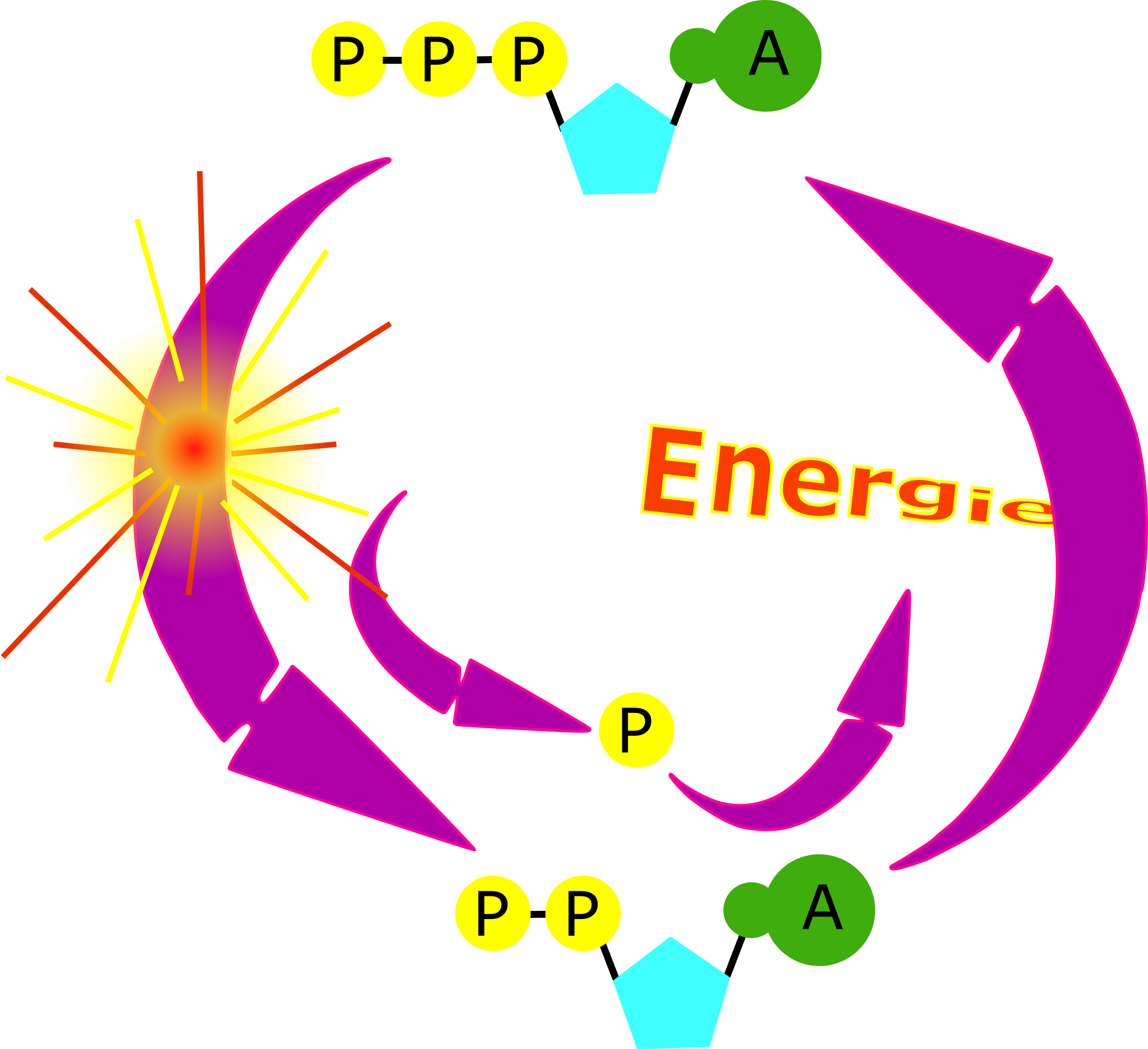 Microsoft Atp Diagram Free Electrical Wiring Diagram - Atp Clipart (2400x2194)