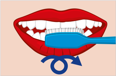 ¿cuál Es La Manera Correcta De Cepillarse Los Dientes - Right Way To Brush Teeth (438x346)