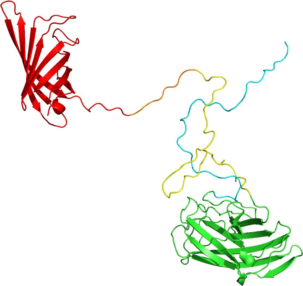 3d Structure Of Our Orthos Protein From Modeller - Illustration (1200x1200)