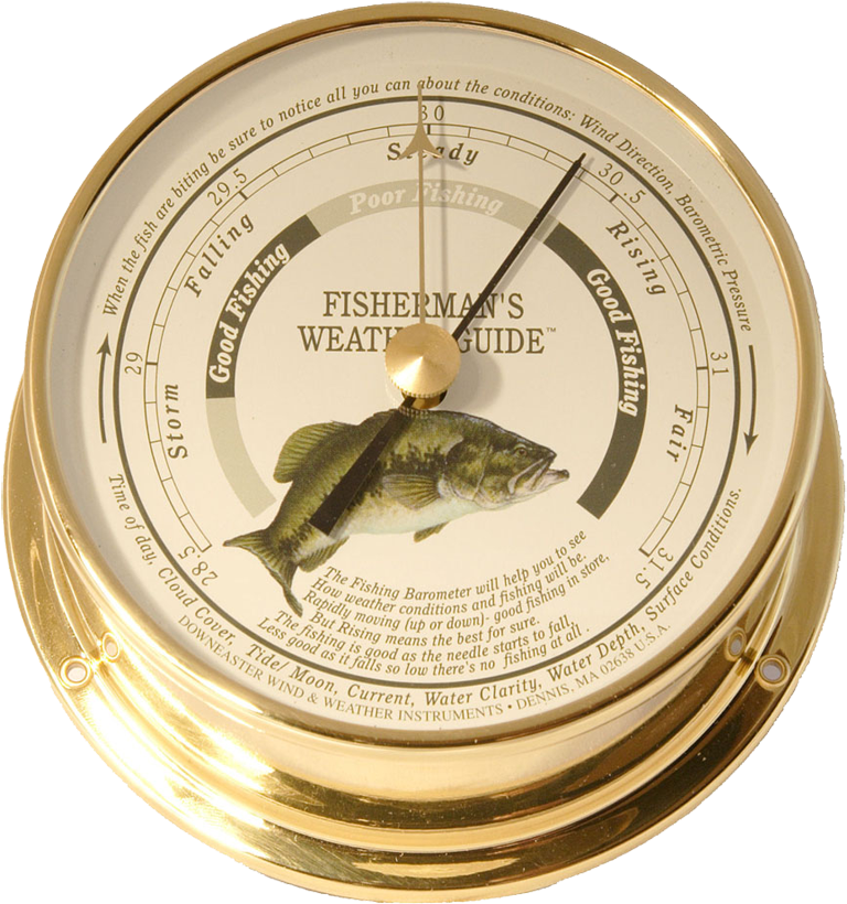 Cape Cod Wind U0026 Weather And Downeaster Wind U0026 - Largemouth Bass (800x845)