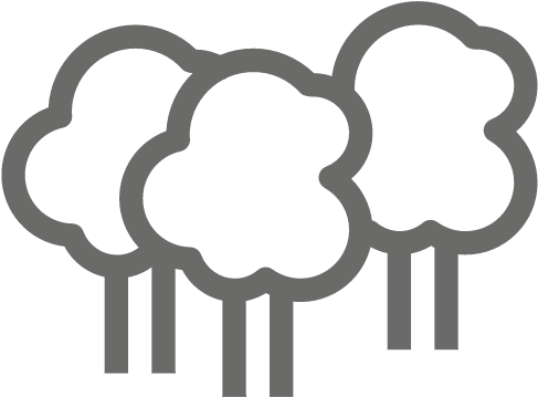 It Takes Less Than 5 Years For A Cemetery Without Maintenance - Forest Icon Png (512x400)