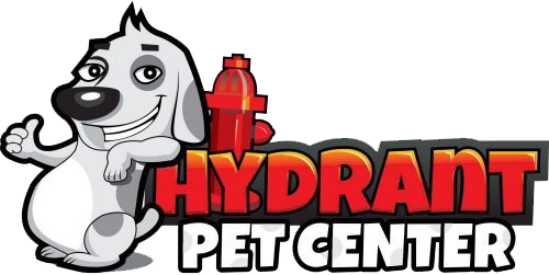 Canvas Logo Canvas Logo - Canvas Logo Canvas Logo (500x251)