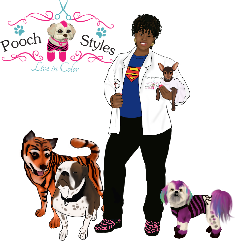 Pooch Styles Is A Full-service Pet Care Salon Designed - Companion Dog (962x1000)
