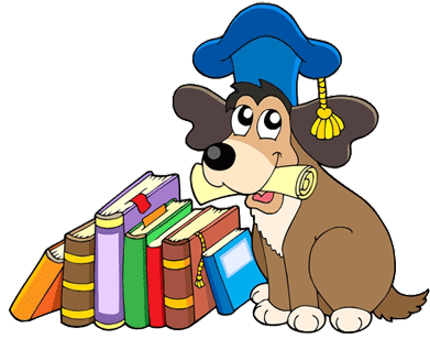 How To Groom A Pomeranian At Home - Snake Teacher (400x317)