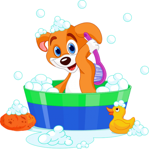 Diggity Dog Pet Grooming A Spa Wonderland - Wet Dog Clipart Png (516x515)
