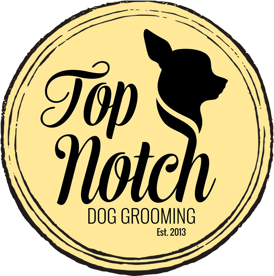 W E L C O M E - Black Norwegian Elkhound (960x960)