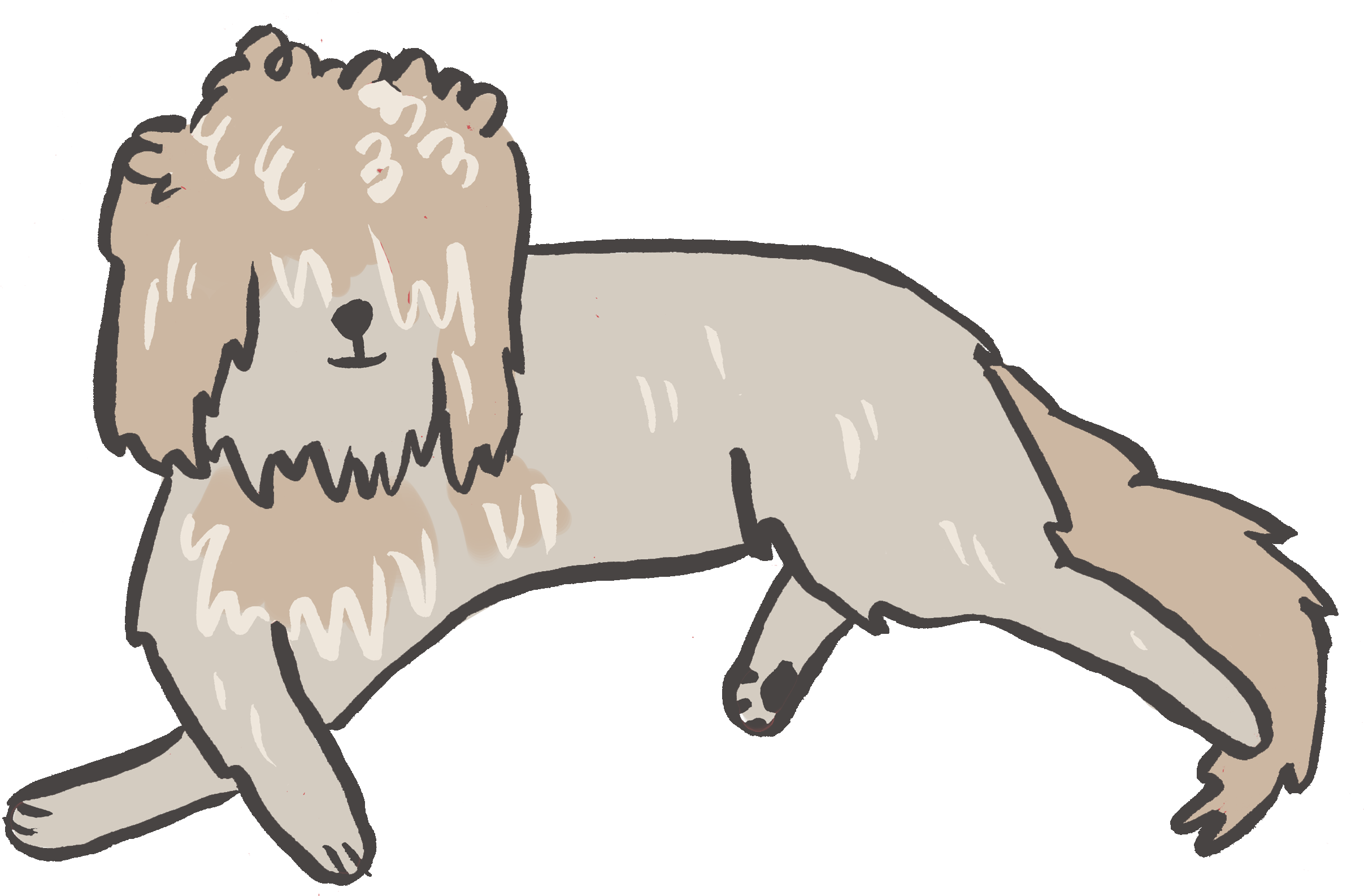 Dog Hair Grooming - Cat Jumps (2550x1938)