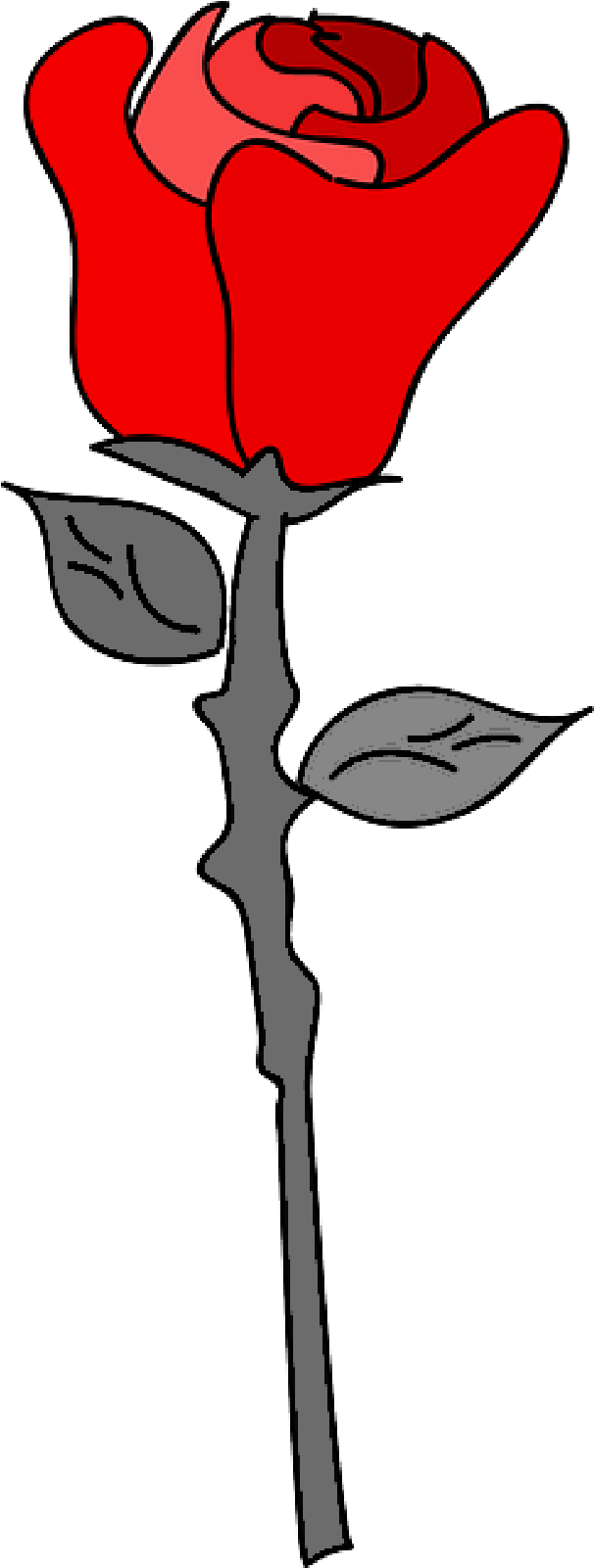 Cartoon Rose Clip Art - Rose Cartoon Png (800x1600)