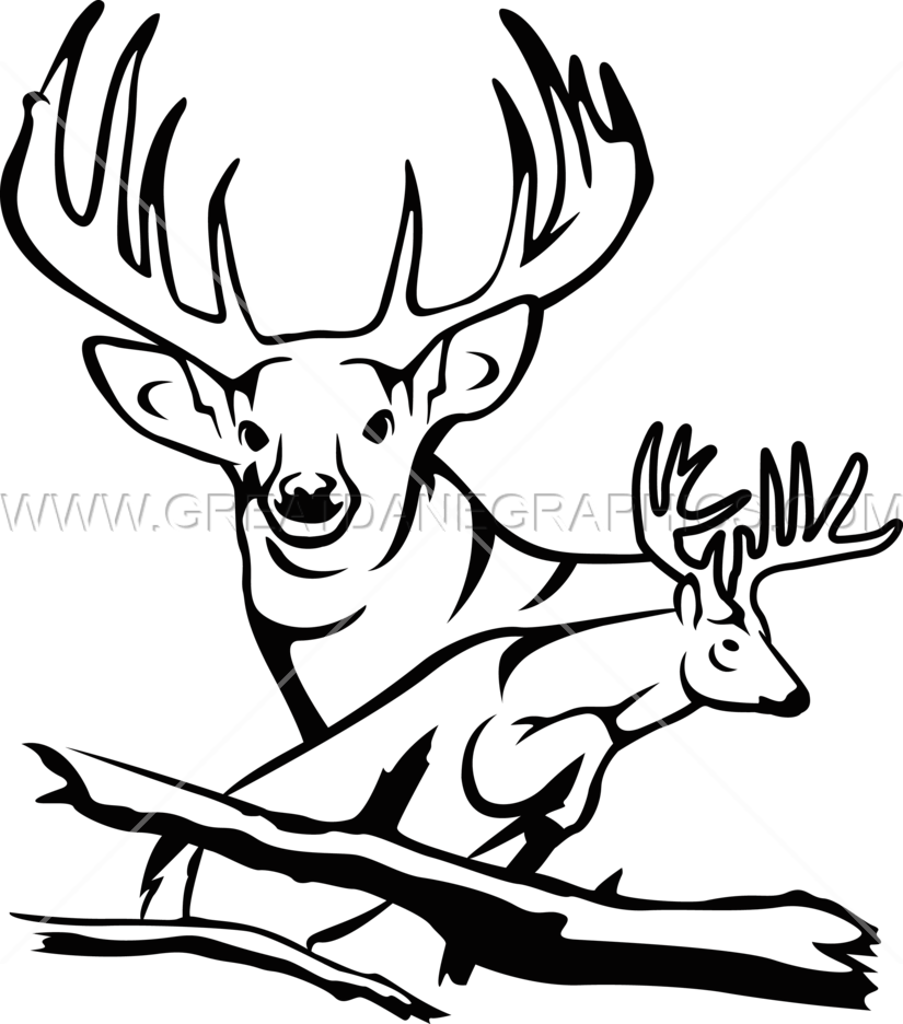825 X 936 2 - Elk (825x936)