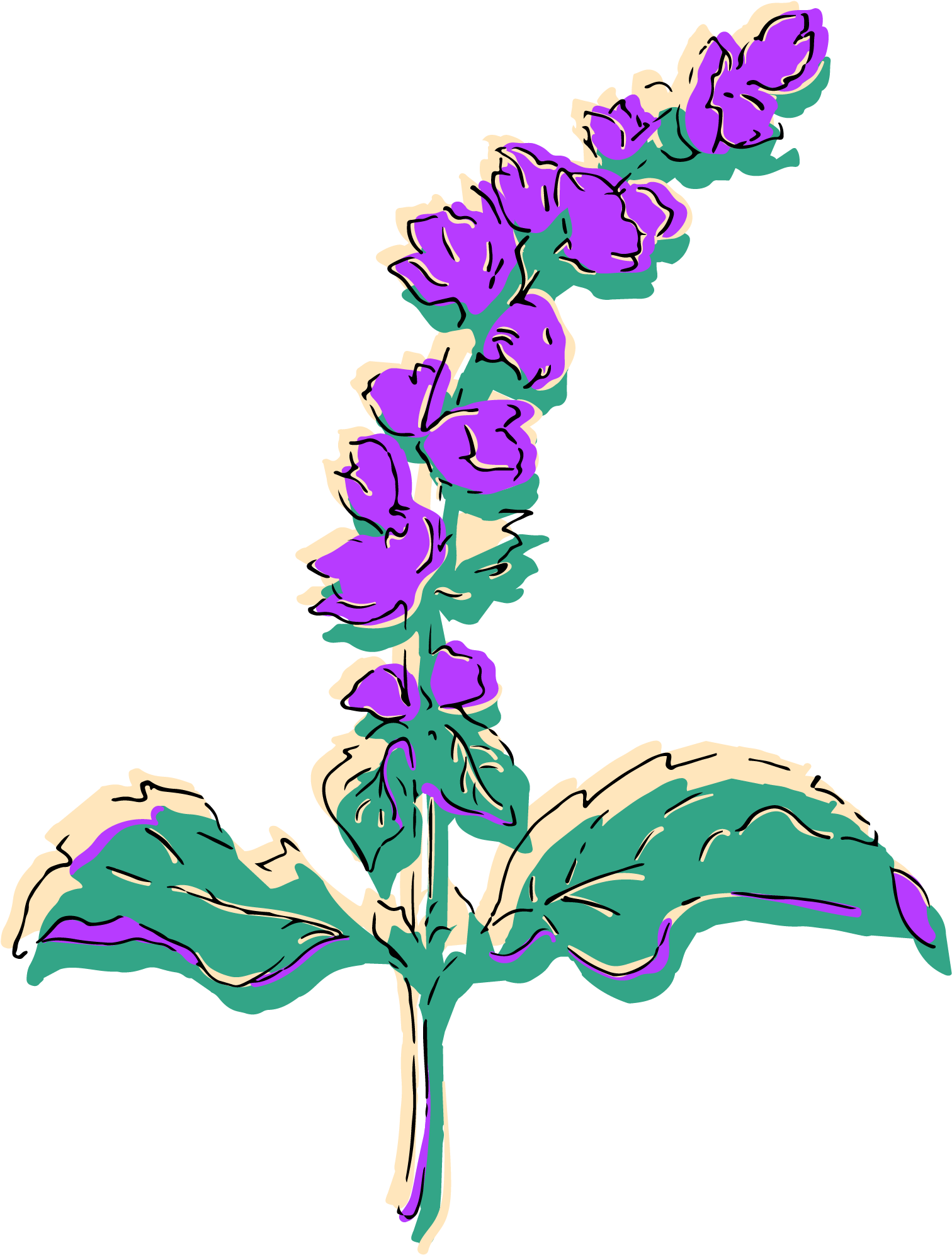 Over And Under Watering - Illustration (1836x2376)