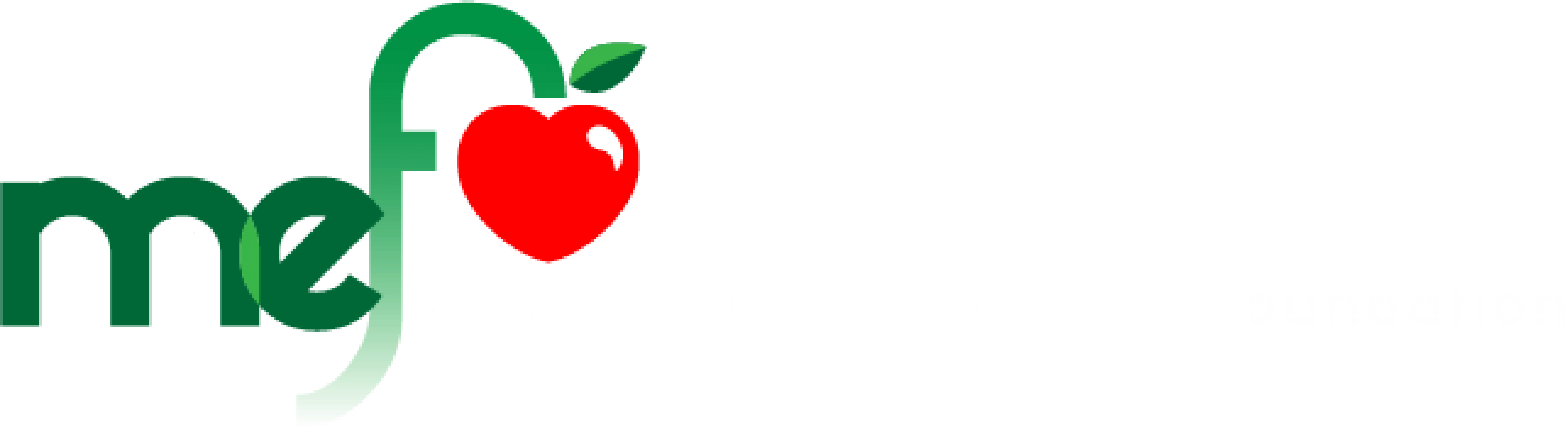 Mountainside Education Foundation - Mountainside Education Foundation (9999x2712)