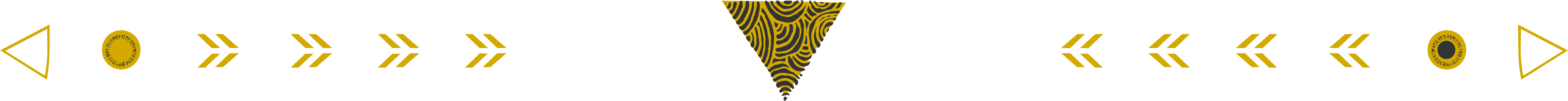 Vt Linkslatino Association Of Student Organizations - Vt Linkslatino Association Of Student Organizations (4161x269)