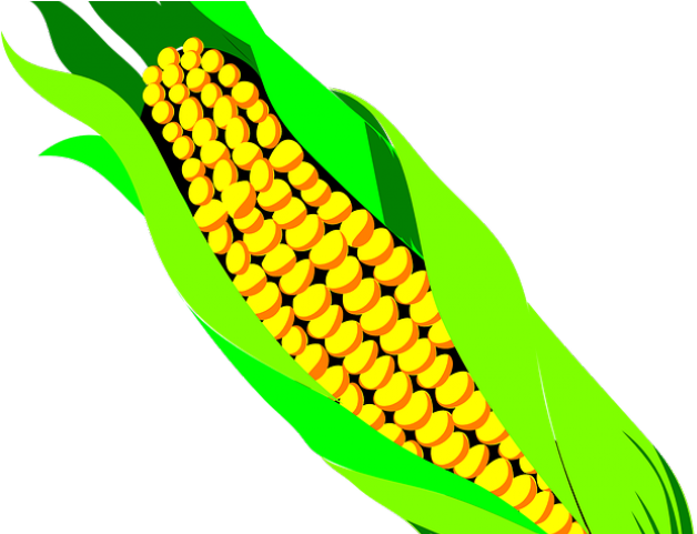 Korn Clipart Bag Corn - Cob Clipart (640x480)