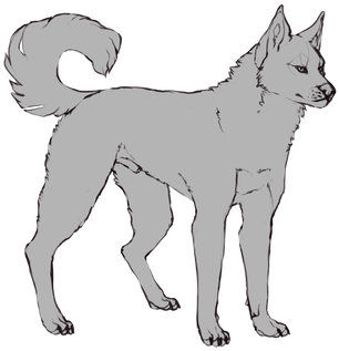 352 X 350 2 - Dog Linearts (352x350)