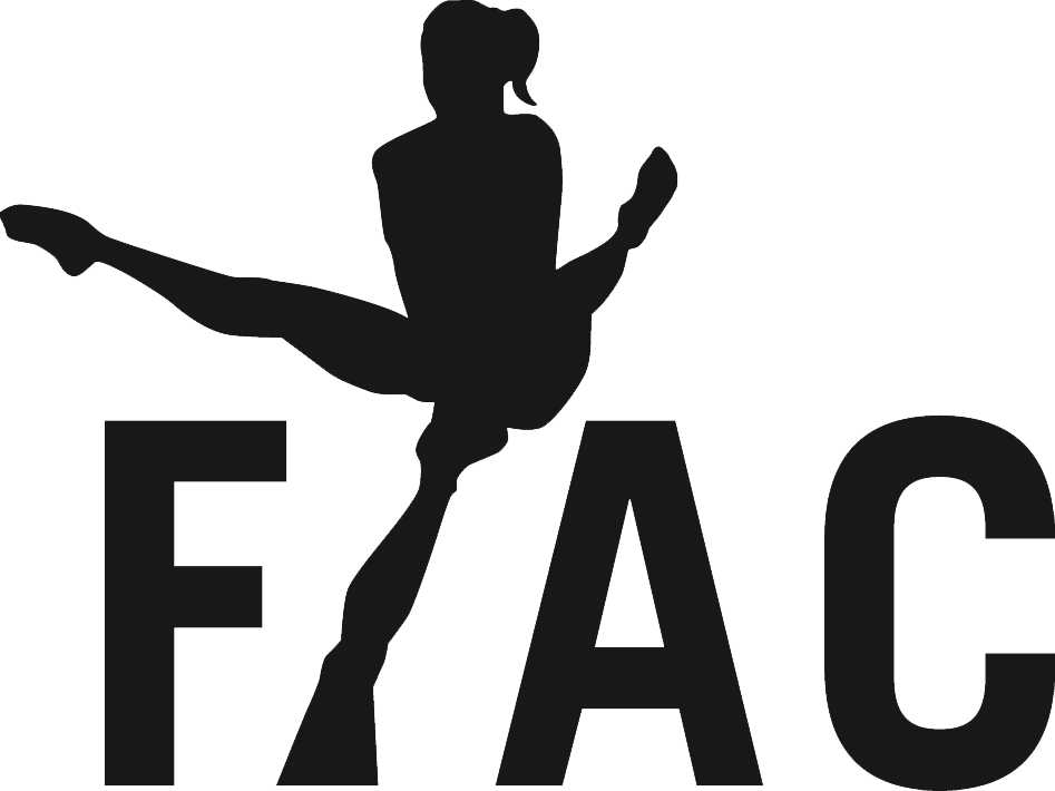 Flanders International Acro Cup 2017 (947x710)