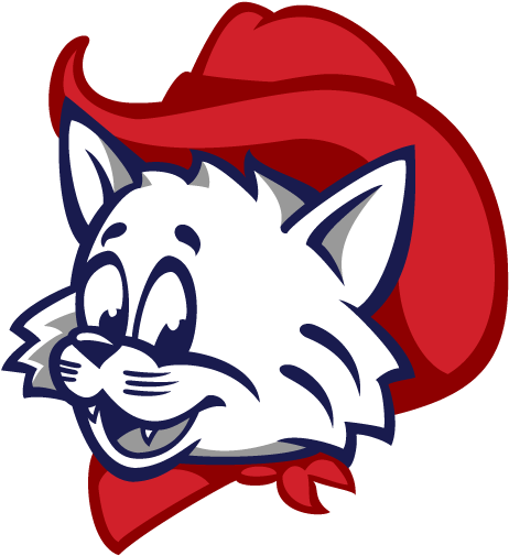 Vintage Mascot Logo Refresh Update Baltimore Orioles - Vintage Wilbur Wildcat University Of Arizona (498x560)