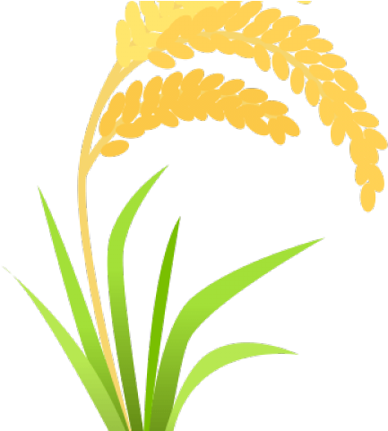 Trees Clipart Rice - Ear Of Rice Transparent (640x480)