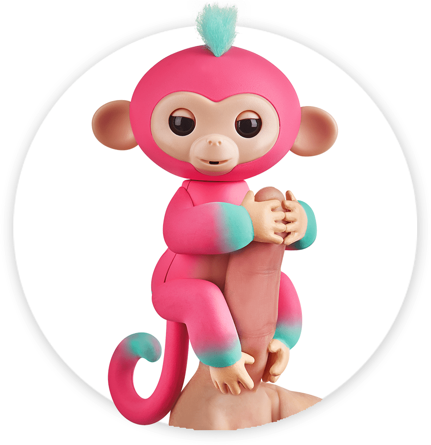 Fingerlings Monkey 2tone Ombre Melon - Melon Fingerling (920x920)