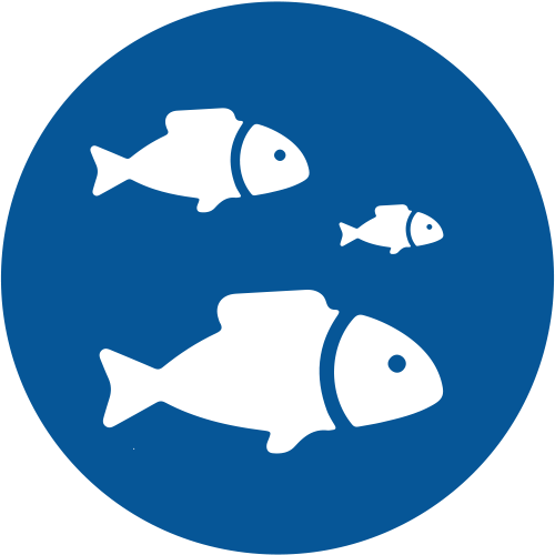 Over 200 Species Of Fish Plus Sea Turtles, Wobbegongs - Money Blue Icon Png (500x500)